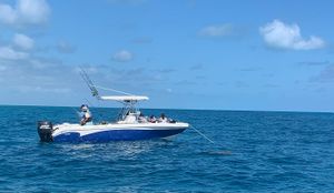 Top Summer Activities In Islamorada Florida Keys