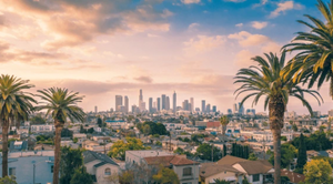 Get Your Valid California Fishing License 