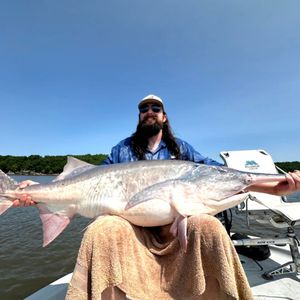 Late-Season Spoonbill Action Still Strong in Northeast Oklahoma Waters