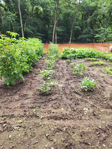 Oklahoma River Adventure: Trolling, Bait & Jig Fishing in Wagoner
