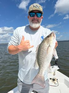 Mayport Mangroves Showing Up Strong
