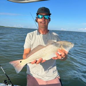 Perfect Slot Red Drum on Light Tackle