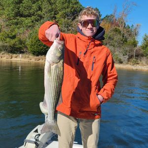 Creekside Morning Rockfish for the Kids