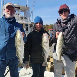 Light Tackle Rockfish Session with the Crew