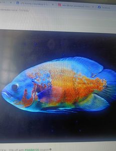 App- Test social share -1