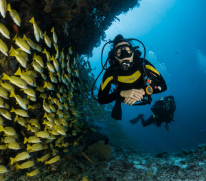 New Web testing report