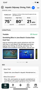 Reeling in the Thrill: A Fishing Odyssey in Tampa's Coastal Waters