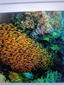 Conquering the BackCountry: An Epic Fishing Adventure