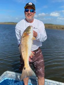Florida redfish Fishing