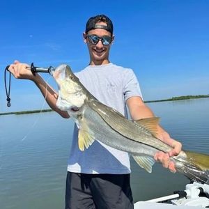 Nice-Looking Snook from Florida