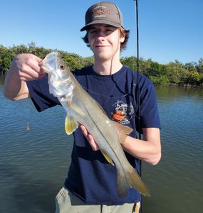 Snook Fishing in Mosquito Lagoon