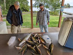 Limit of Perch with Chris and Brock