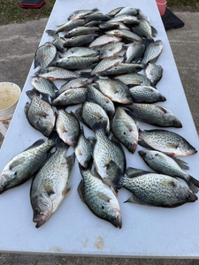 Crappie Fishing In December 
