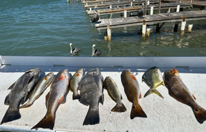 South Padre Island Fishing Report