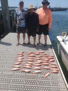 Recent Trips, Great Catches