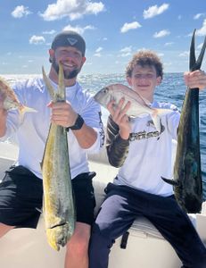 Mahi and Snappers 