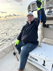 Matagorda Inshore: 17" Spotted Weakfish Kicks Off Summer Bite