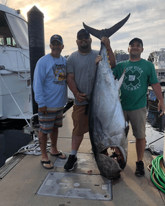 Massive Tuna in Belmar, NJ
