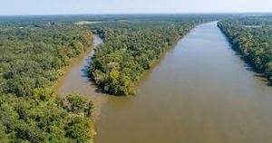 Top Things to Do in Venice, LA