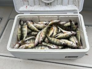 Bite's Heating Up Along the Western Basin!