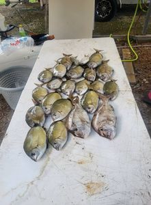 Cooler Weather, Hotter Fall Fishing Action