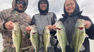 Lake Chickamauga Fishing Reports