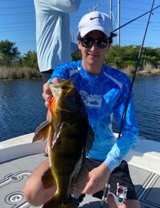 Everglades peakCock bass slaying 
 