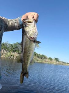 Father’s Day Fishing and Eco Tour Special