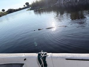 Everglades bassoholic fishing for large mouth bass in the Everglades 