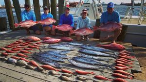 Captain Roy Songy Reports Consistent Bites and Limits Across the Gulf Reefs