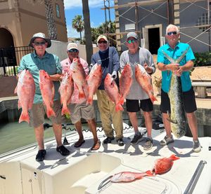 Captain Roy Songy Reports Consistent Bites and Limits Across the Gulf Reefs