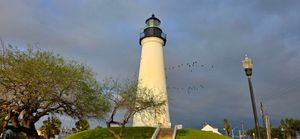 Beyond the Shore: Top Things to Do in Port Isabel