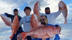Everything You Need to Know About Port Isabel Fishing Licenses