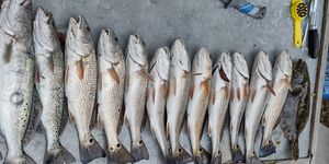 Beaufort, SC Fishing Report