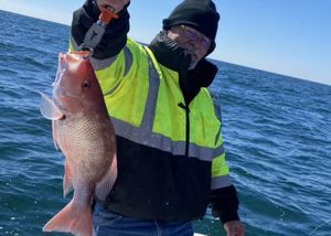 Beyond the Hype: Real Red Snapper Fishing Charters in Carrabelle