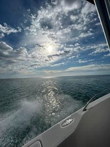 The Forgotten Coast Awaits: Carrabelle Sightseeing and History