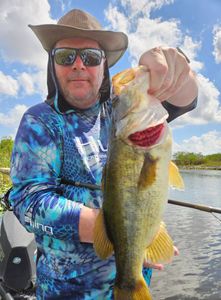Lake Okeechobee action with Basswhisper Guide Service