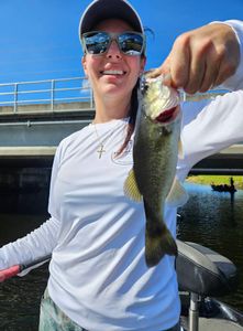 Just A Great Week on the Big O