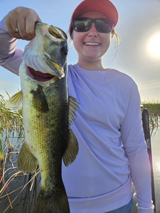 Lake Okeechobee Fishing Report 