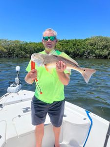 Redfish caught in Crystal River, FL