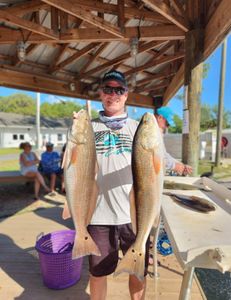 Redfish reels of the day in Crystal River, FL
