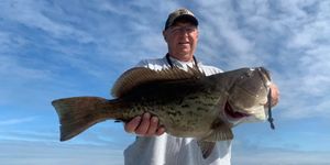 Crystal River Fishing Report
