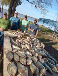 6 man group full day crappie and catfish 