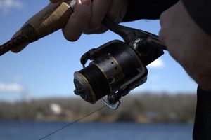 Nova Scotia Fishing License Guide: Rules for Travelers & Locals