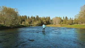 The Healing River: Mental Health Benefits of Fishing