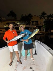 Evening Kingfish and Mahi Action Offshore