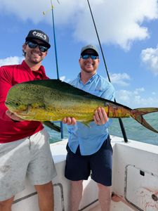 Strong Kingfish and Mahi Bite in Fort Lauderdale