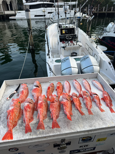 Fort Lauderdale Vermilion Rockfish Success on 10-Hour Charter