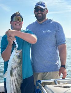 Top water striped bass bite
