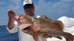 Grouper from Offshore Waters of Carrabelle